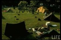 Woodstock Camp